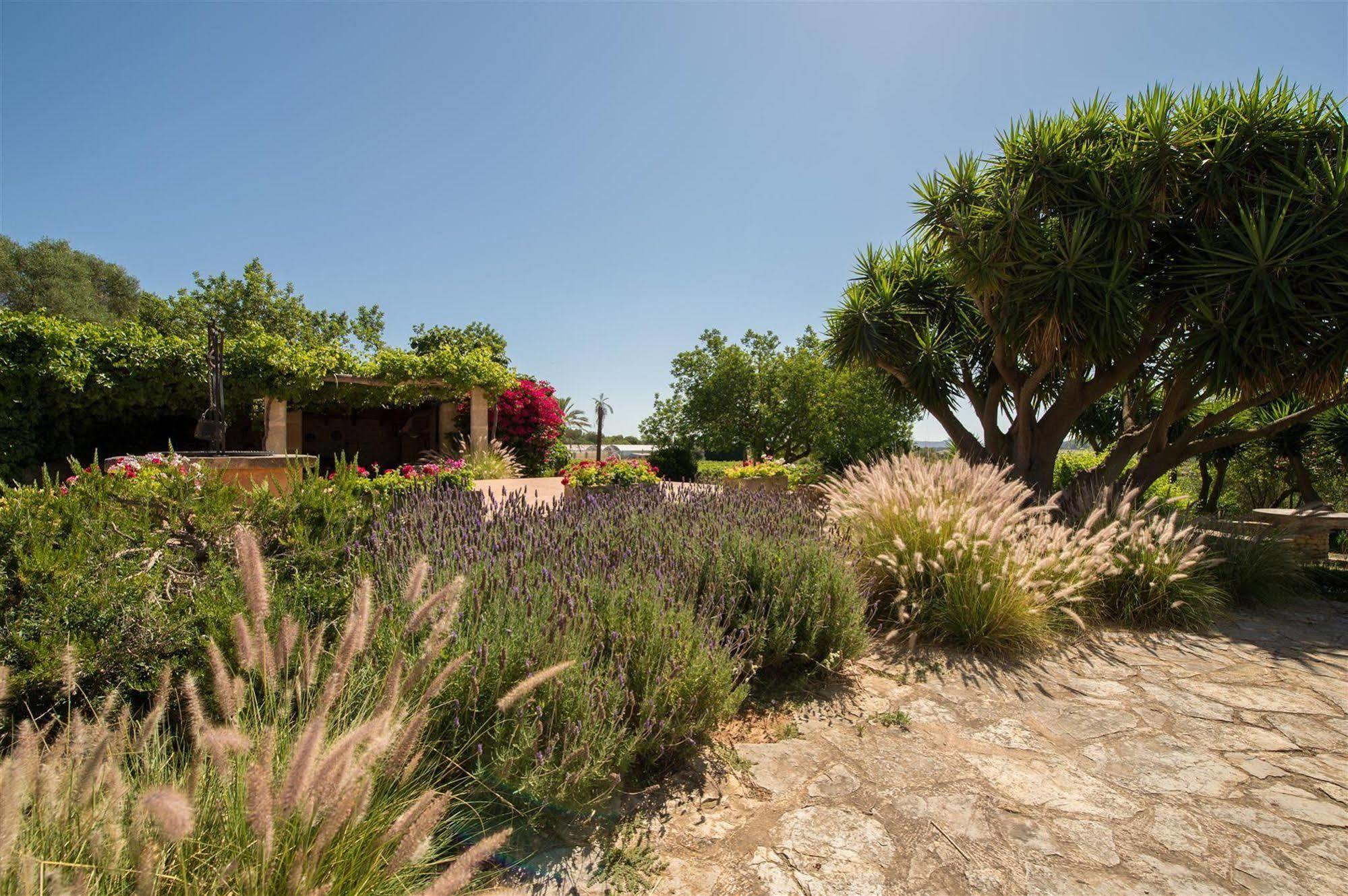 Hotel Rural Can Feliu ポレレス エクステリア 写真